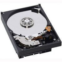 Ibm 2TB SAS HDD (49Y1902)